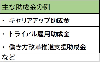 主な助成金の例